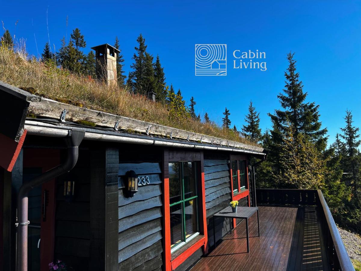 Centrally Located Cottage At Sjusjoen Ski Center Kültér fotó